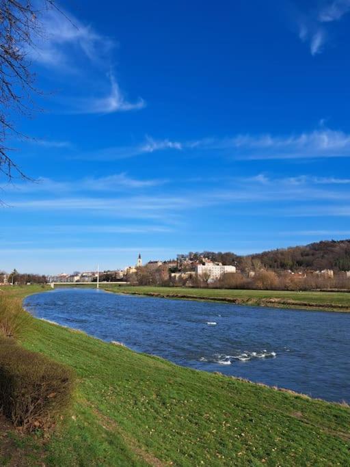 San Riverbank Apartment Przemysl Bagian luar foto
